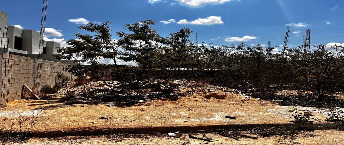 Foto de terreno habitacional en venta en 108 , dzitya, mérida, yucatán, 31094760 No. 03