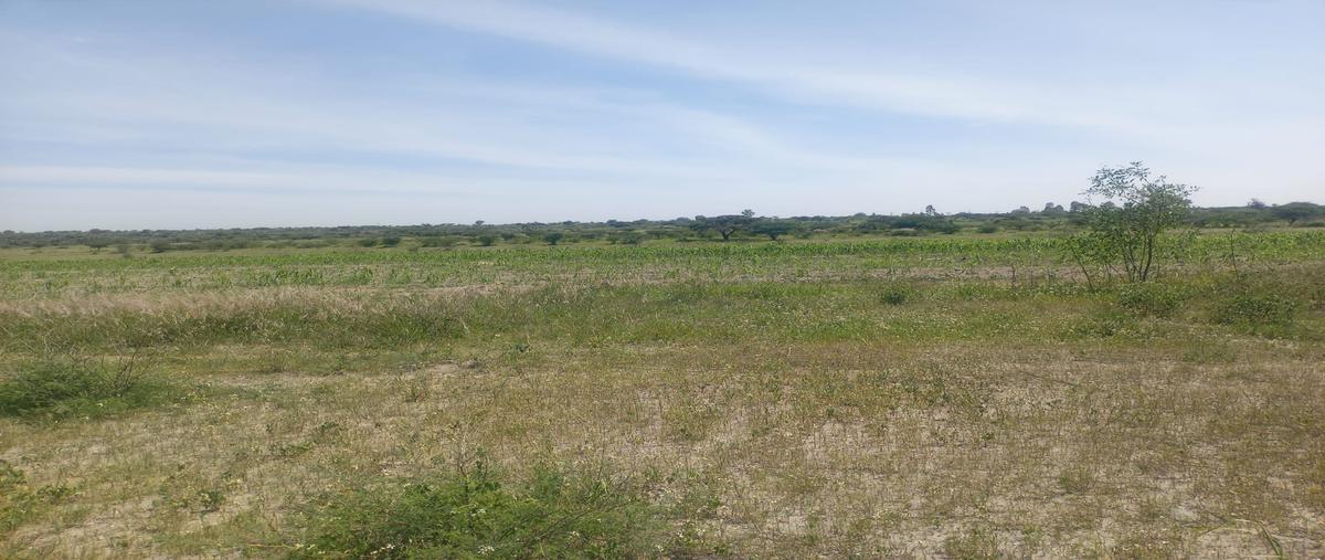 Foto de terreno habitacional en venta en 108 z-1 p1/1 , el jaral, corregidora, querétaro, 0 No. 03