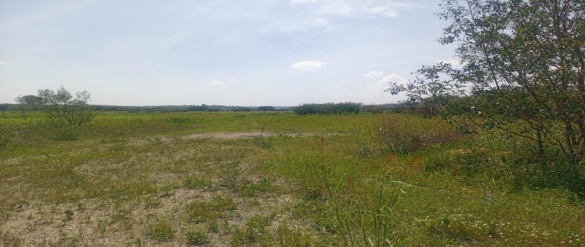 Foto de terreno habitacional en venta en 108 z-1 p1/1 , el jaral, corregidora, querétaro, 0 No. 04