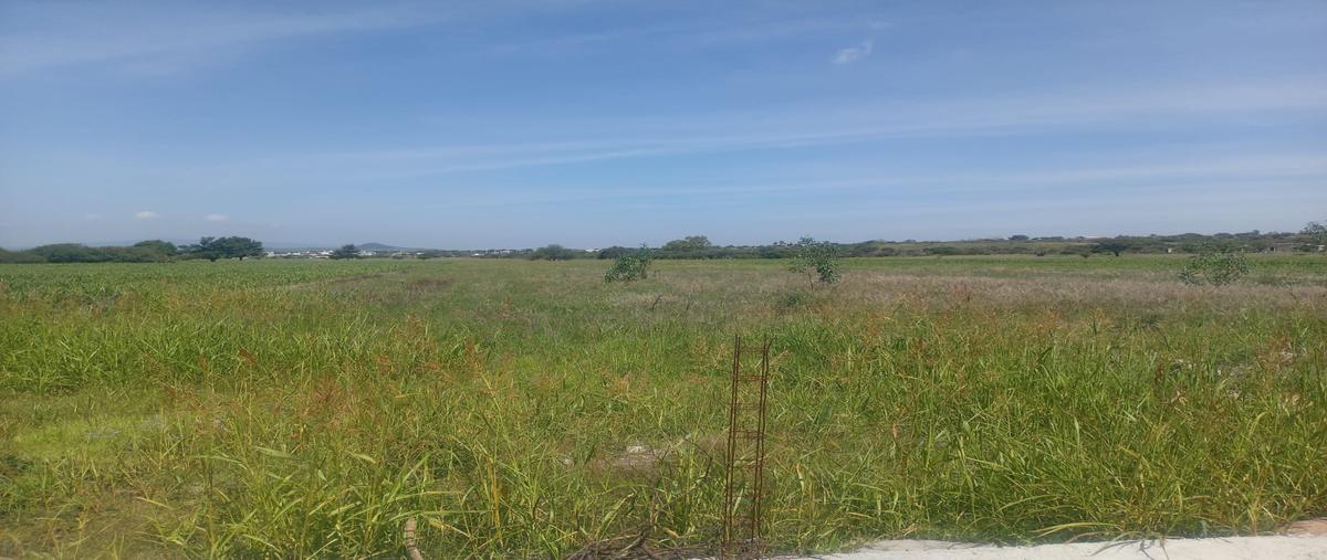 Foto de terreno habitacional en venta en 108 z-1 p1/1 , el jaral, corregidora, querétaro, 0 No. 05