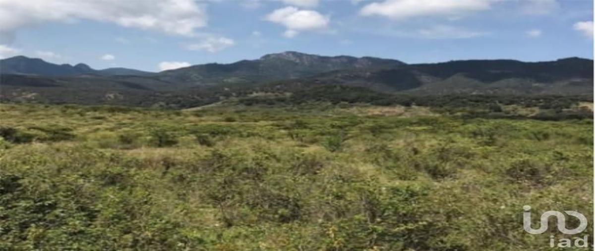 Foto de terreno industrial en venta en 11 113, puerta del coche, san marcos, jalisco, 30585572 No. 05
