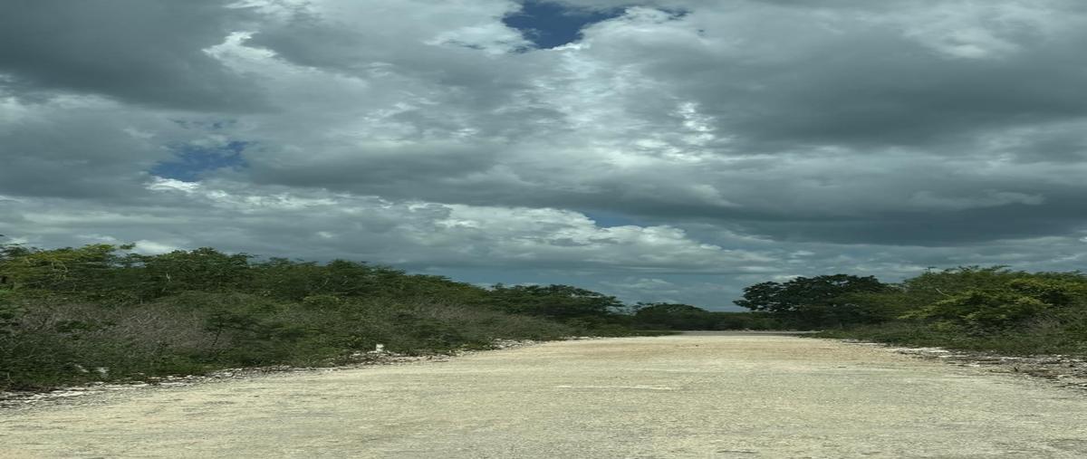 Foto de terreno habitacional en 11 , dzidzantun, dzidzantún, yucatán, 0 foto 01 Foto de terreno habitacional en venta en 11 , dzidzantun, dzidzantún, yucatán, 0 No. 01