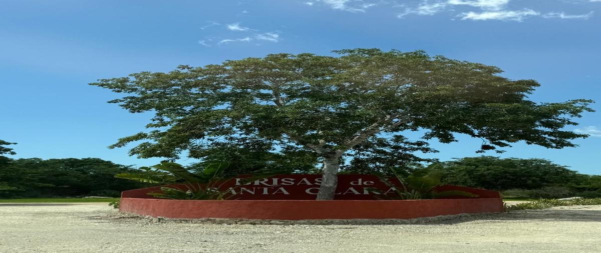 Foto de terreno habitacional en 11 , dzidzantun, dzidzantún, yucatán, 0 foto 02 Foto de terreno habitacional en venta en 11 , dzidzantun, dzidzantún, yucatán, 0 No. 02