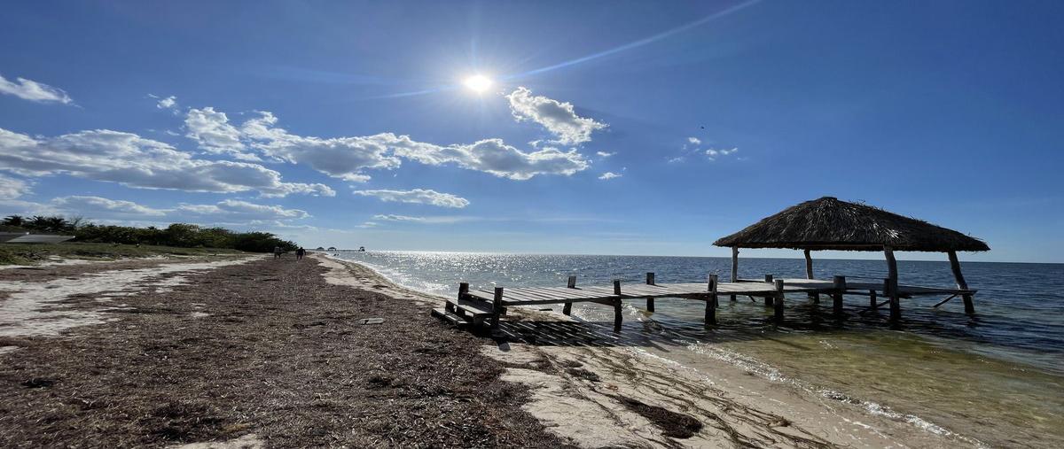 Foto de terreno habitacional en venta en 11 , dzilam de bravo, dzilam de bravo, yucatán, 0 No. 05