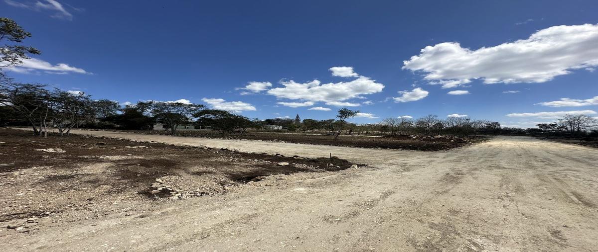 Foto de terreno habitacional en venta en 11 poniente , miravalle, berriozábal, chiapas, 0 No. 05