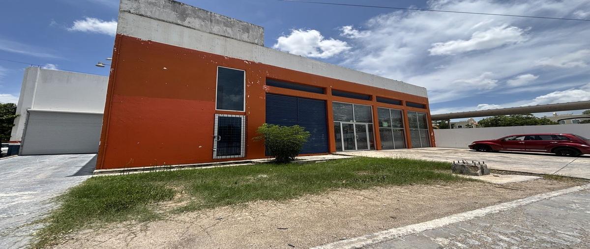Foto de bodega en renta en 11 , santa gertrudis copo, mérida, yucatán, 30113680 No. 03