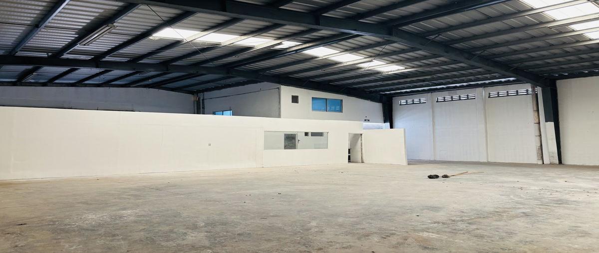 Foto de bodega en renta en 11 , santa gertrudis copo, mérida, yucatán, 30113680 No. 04