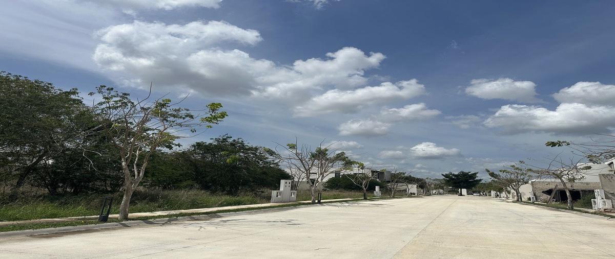 Foto de terreno habitacional en 11 , temozon, temozón, yucatán, 29495296 foto 02 Foto de terreno habitacional en venta en 11 , temozon, temozón, yucatán, 29495296 No. 02