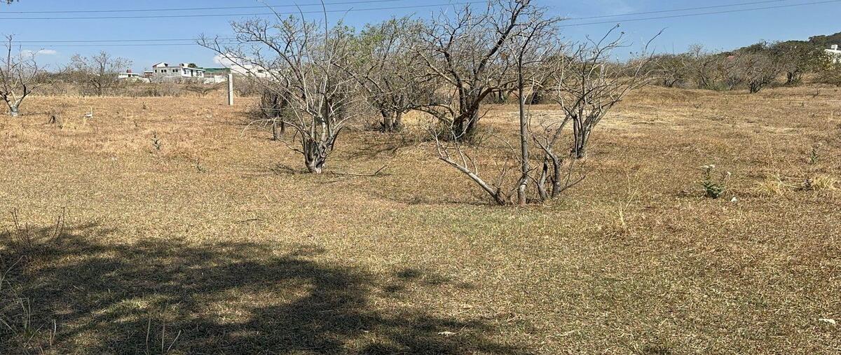 Foto de terreno habitacional en venta en 11 , totolapan, totolapan, morelos, 0 No. 04