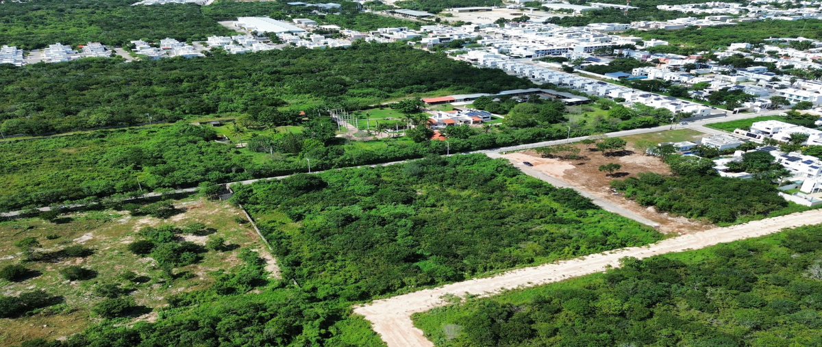 Foto de terreno habitacional en venta en 110 , dzitya, mérida, yucatán, 28771968 No. 03
