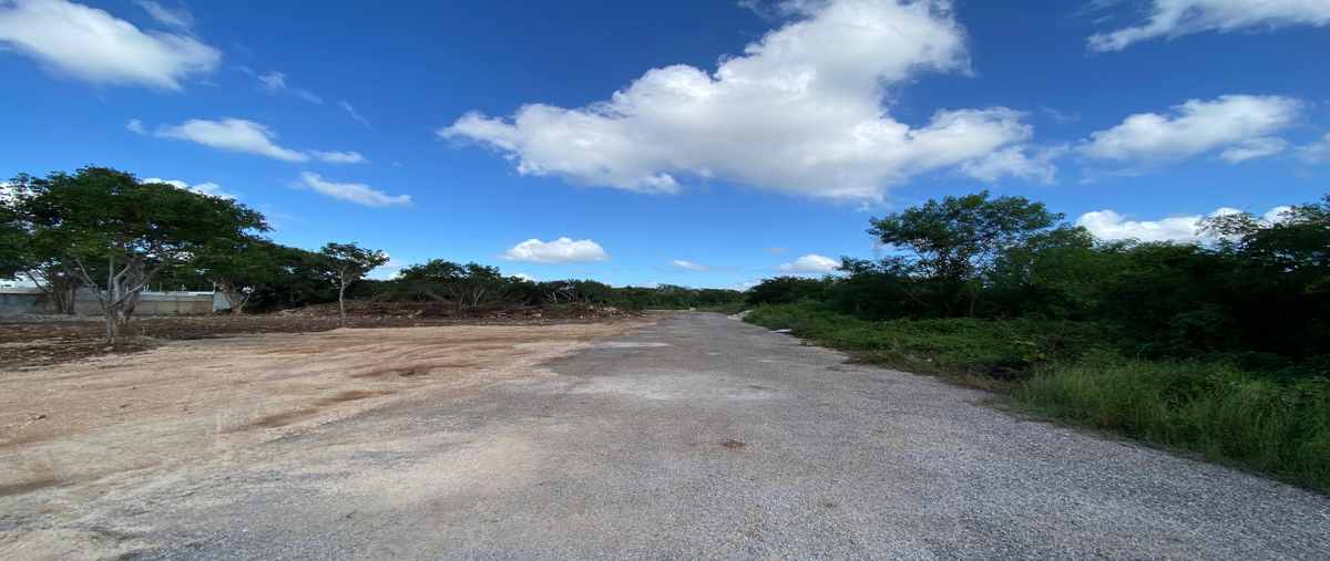 Foto de terreno habitacional en venta en 110 , dzitya, mérida, yucatán, 28771968 No. 04