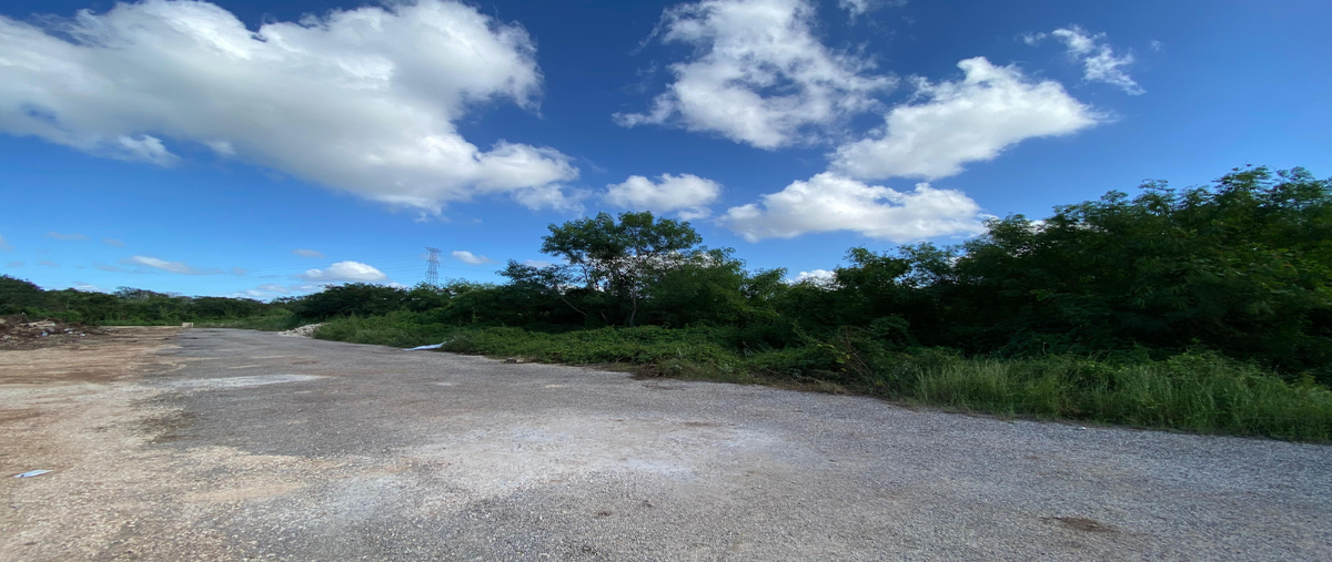 Foto de terreno habitacional en venta en 110 , dzitya, mérida, yucatán, 28771968 No. 05