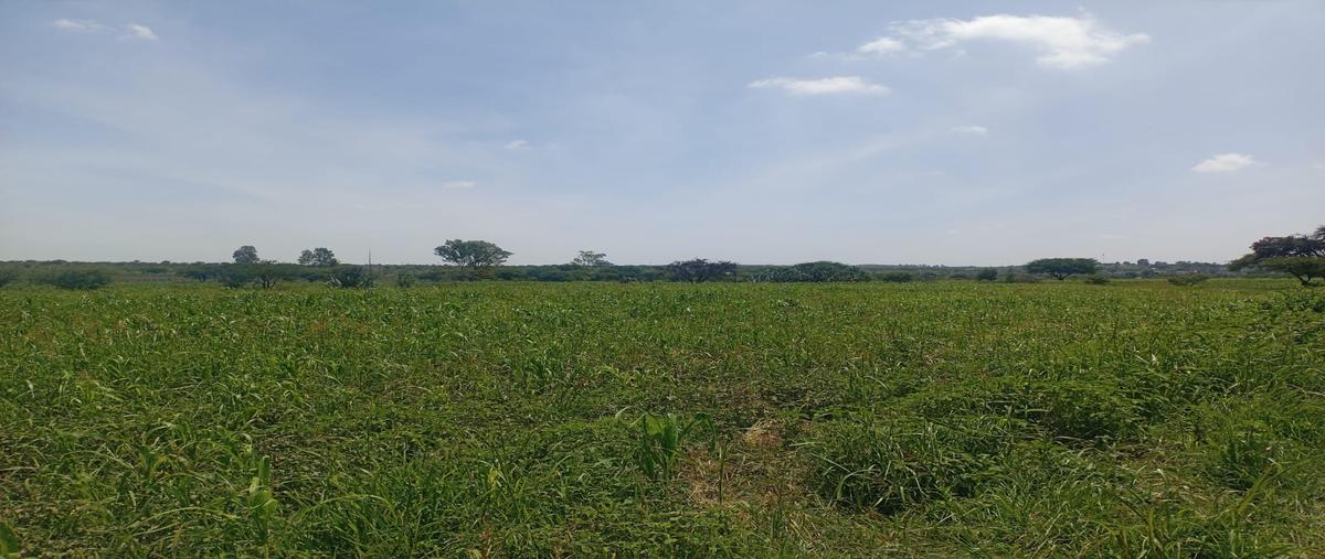 Foto de terreno habitacional en venta en 110 z-1 p1/1 , el jaral, corregidora, querétaro, 0 No. 03