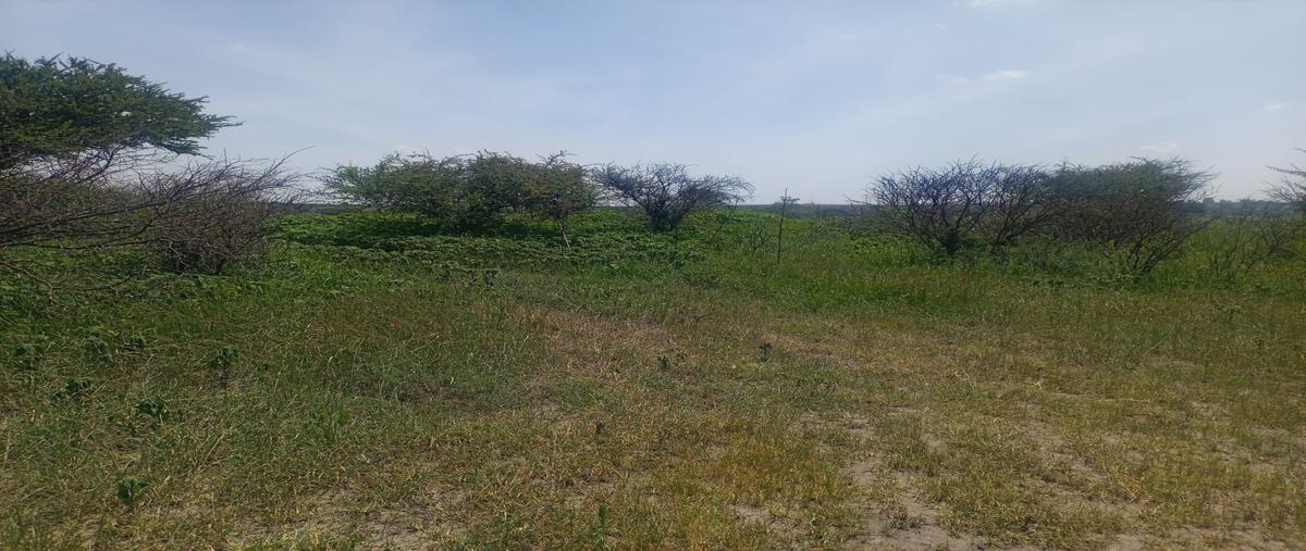 Foto de terreno habitacional en venta en 110 z-1 p1/1 , el jaral, corregidora, querétaro, 0 No. 04