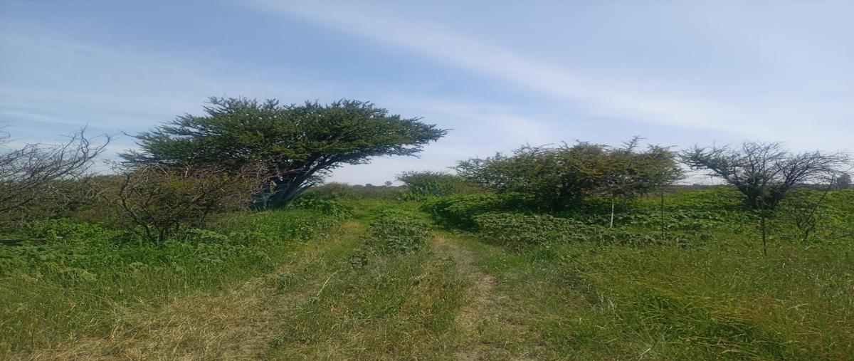 Foto de terreno habitacional en venta en 110 z-1 p1/1 , el jaral, corregidora, querétaro, 0 No. 05