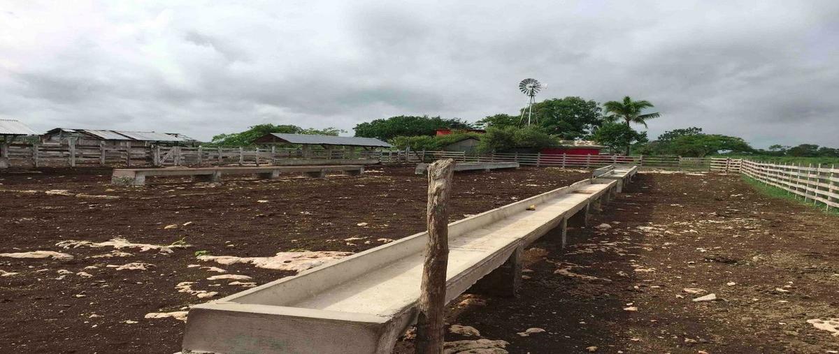 Foto de rancho en venta en 111 , panaba, panabá, yucatán, 26919408 No. 03