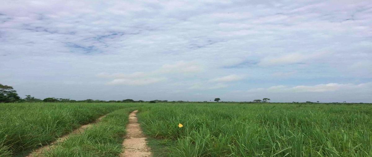 Foto de rancho en venta en 111 , panaba, panabá, yucatán, 26919408 No. 04