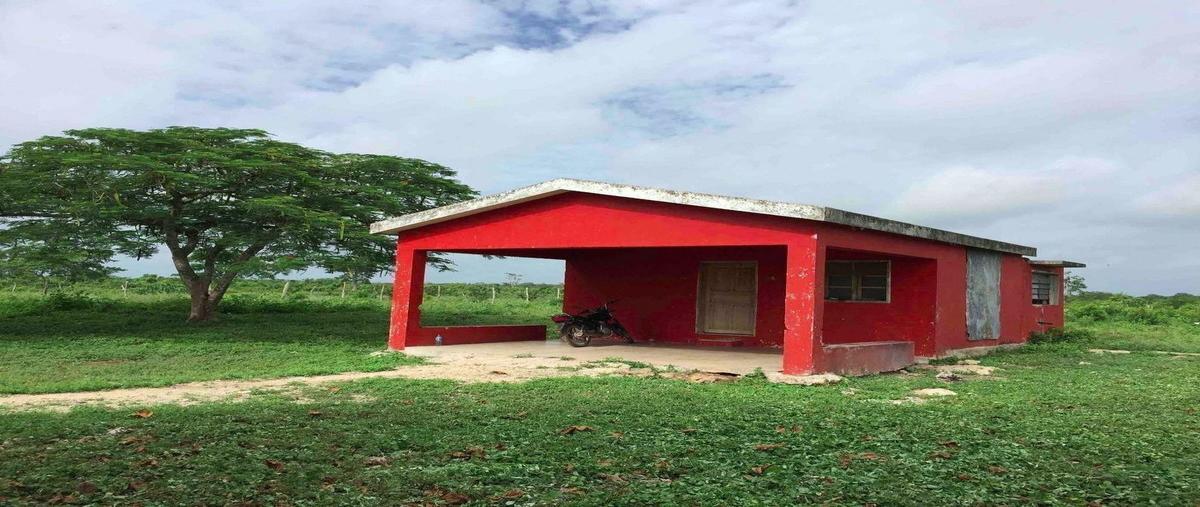 Foto de rancho en venta en 111 , panaba, panabá, yucatán, 26919408 No. 05