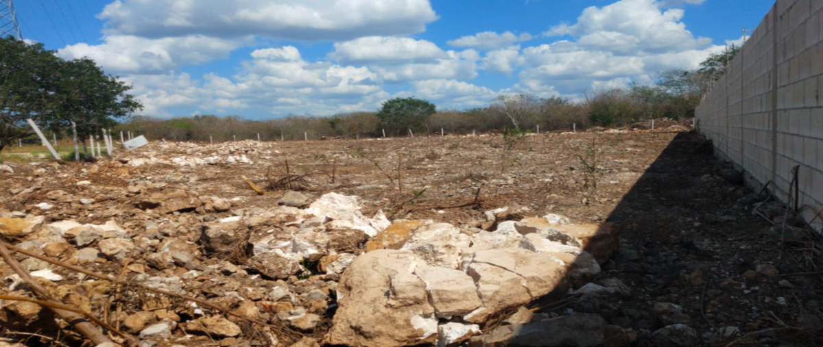 Foto de terreno habitacional en venta en 116 , dzitya, mérida, yucatán, 0 No. 04