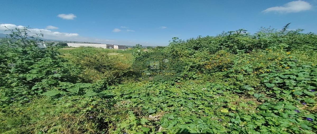 Foto de terreno habitacional en venta en 1183 z1p6/11 , jorobas, huehuetoca, méxico, 0 No. 04