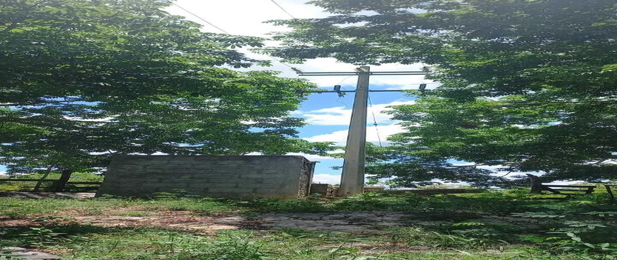 Foto de terreno habitacional en 12 , calotmul, calotmul, yucatán, 0 foto 03 Foto de terreno habitacional en venta en 12 , calotmul, calotmul, yucatán, 0 No. 03