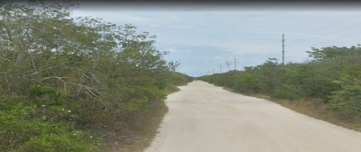 Foto de terreno habitacional en venta en 12 , celestun, celestún, yucatán, 0 No. 03