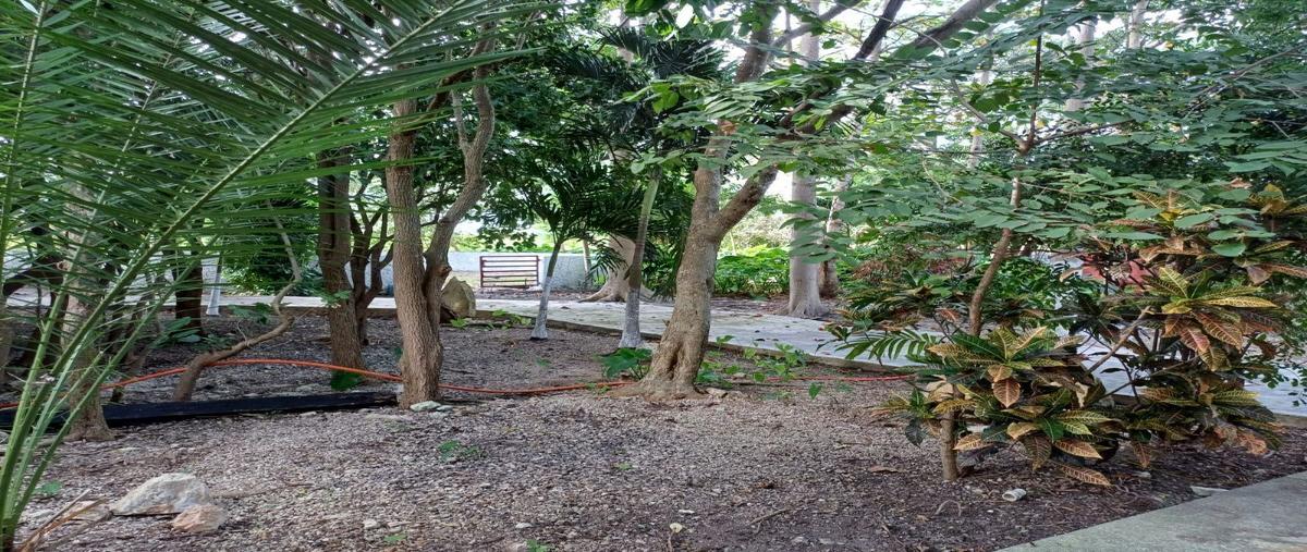 Foto de rancho en venta en 12 , centro telchac pueblo, telchac pueblo, yucatán, 27795149 No. 04