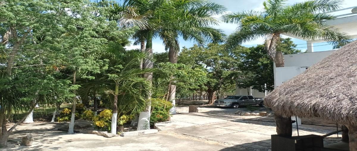Foto de rancho en venta en 12 , centro telchac pueblo, telchac pueblo, yucatán, 27795149 No. 05