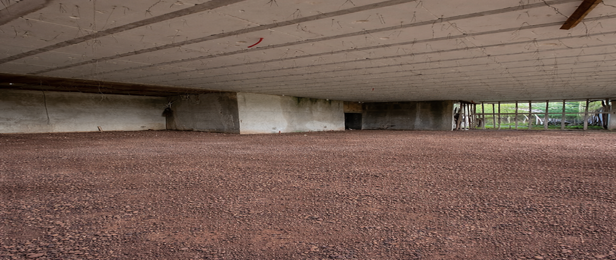 Foto de bodega en venta en 12 , chichi suárez, mérida, yucatán, 29515240 No. 04