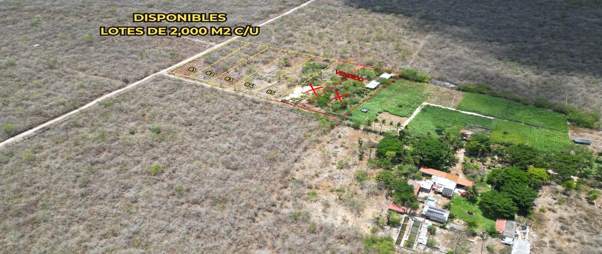 Foto de terreno habitacional en 12 , chicxulub, chicxulub pueblo, yucatán, 30084422 foto 02 Foto de terreno habitacional en venta en 12 , chicxulub, chicxulub pueblo, yucatán, 30084422 No. 02