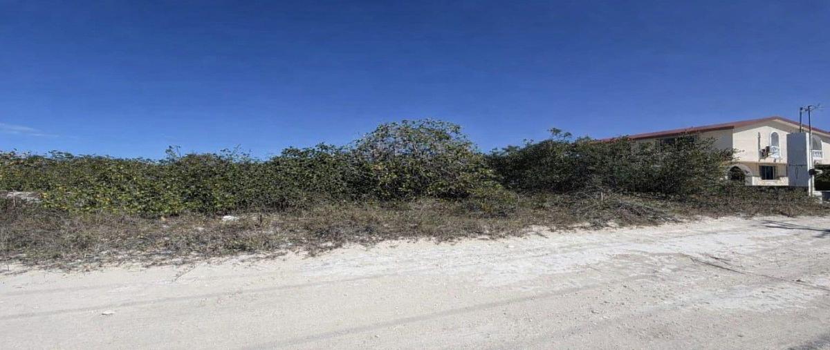 Foto de terreno habitacional en venta en 12 , chicxulub puerto, progreso, yucatán, 0 No. 03