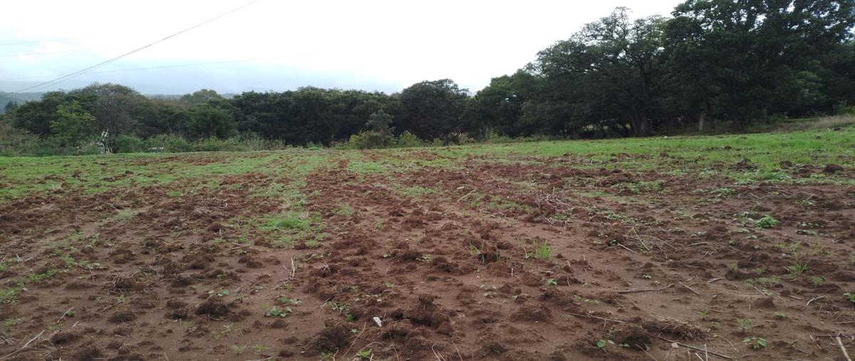 Foto de terreno habitacional en venta en 12 de diciembre , san miguel hila, nicolás romero, méxico, 30861553 No. 03