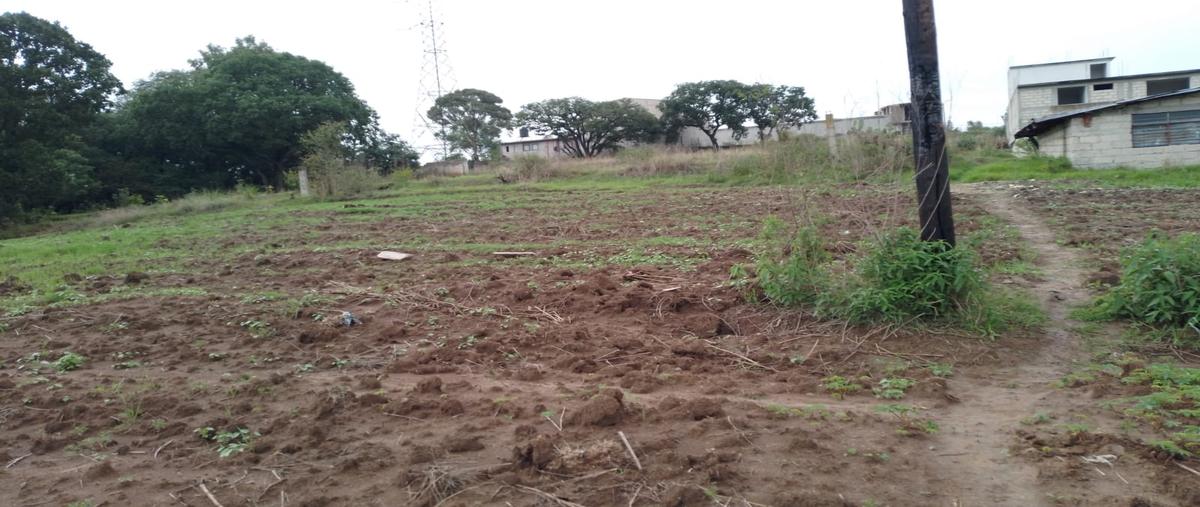 Foto de terreno habitacional en venta en 12 de diciembre , san miguel hila, nicolás romero, méxico, 30861553 No. 04