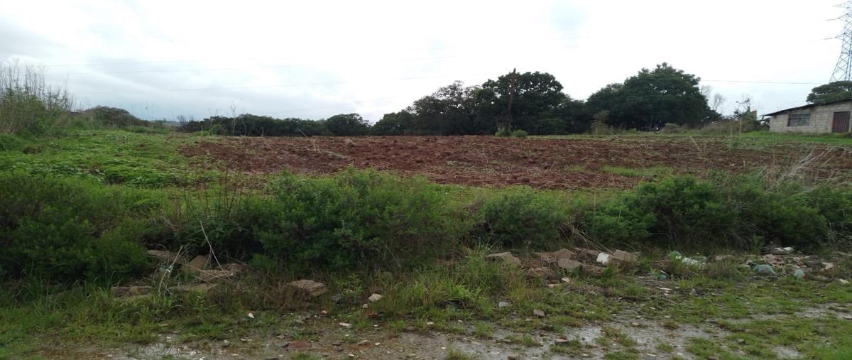 Foto de terreno habitacional en venta en 12 de diciembre , san miguel hila, nicolás romero, méxico, 30861553 No. 05