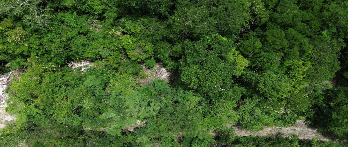 Foto de terreno habitacional en venta en 12 , dzidzilché, mérida, yucatán, 0 No. 03