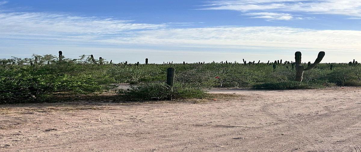 Foto de terreno habitacional en 12 , el centenario, la paz, baja california sur, 0 foto 01 Foto de terreno habitacional en venta en 12 , el centenario, la paz, baja california sur, 0 No. 01