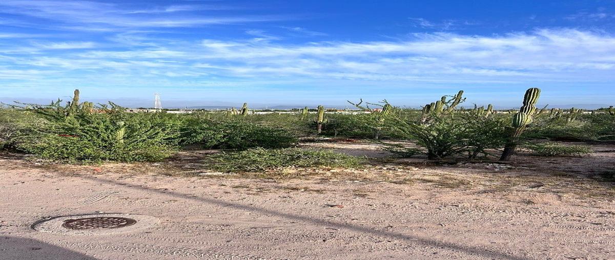 Foto de terreno habitacional en 12 , el centenario, la paz, baja california sur, 0 foto 05 Foto de terreno habitacional en venta en 12 , el centenario, la paz, baja california sur, 0 No. 05
