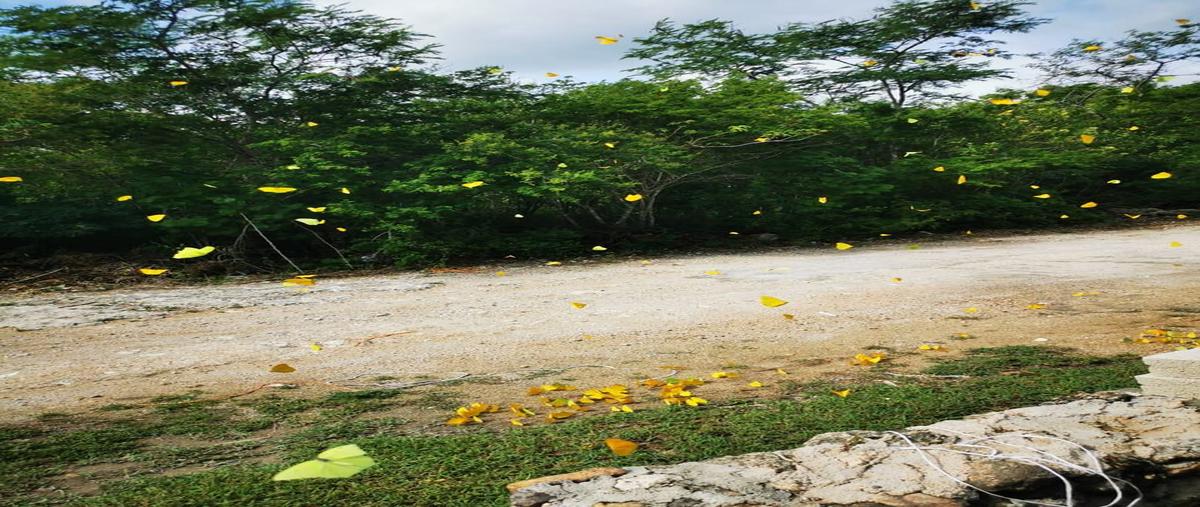 Foto de terreno habitacional en venta en 12 , misné ii, mérida, yucatán, 25053987 No. 03