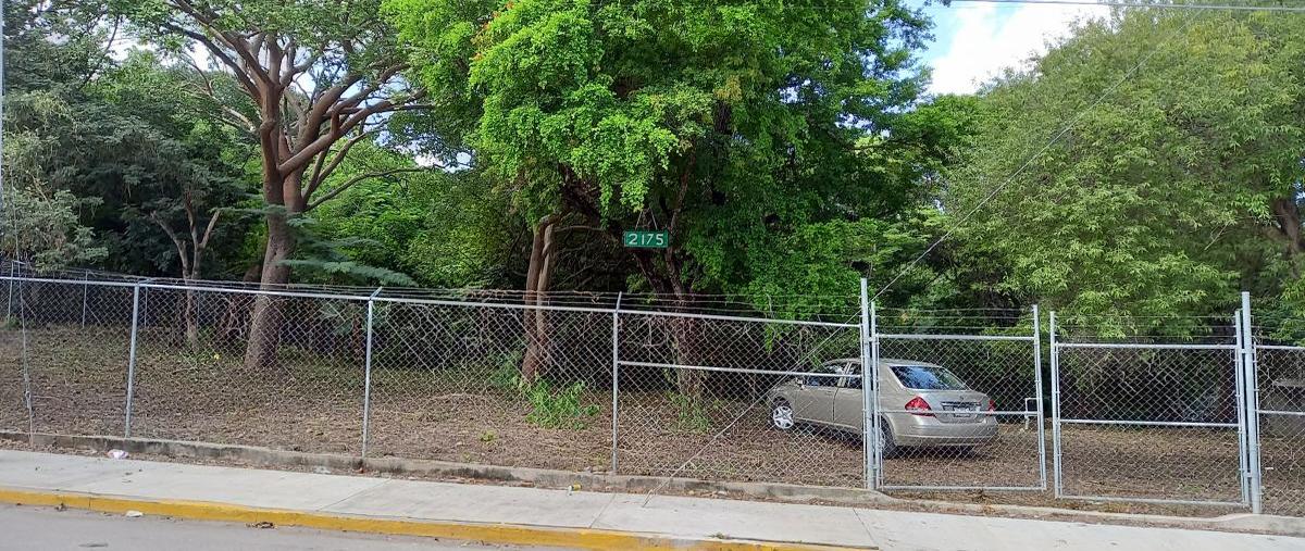 Foto de terreno comercial en 12 poniente entre 21 y 22 sur , matumatza, tuxtla gutiérrez, chiapas, 0 foto 01 Foto de terreno comercial en renta en 12 poniente entre 21 y 22 sur , matumatza, tuxtla gutiérrez, chiapas, 0 No. 01