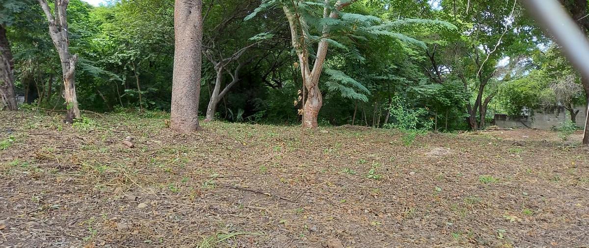 Foto de terreno comercial en 12 poniente entre 21 y 22 sur , matumatza, tuxtla gutiérrez, chiapas, 0 foto 02 Foto de terreno comercial en renta en 12 poniente entre 21 y 22 sur , matumatza, tuxtla gutiérrez, chiapas, 0 No. 02