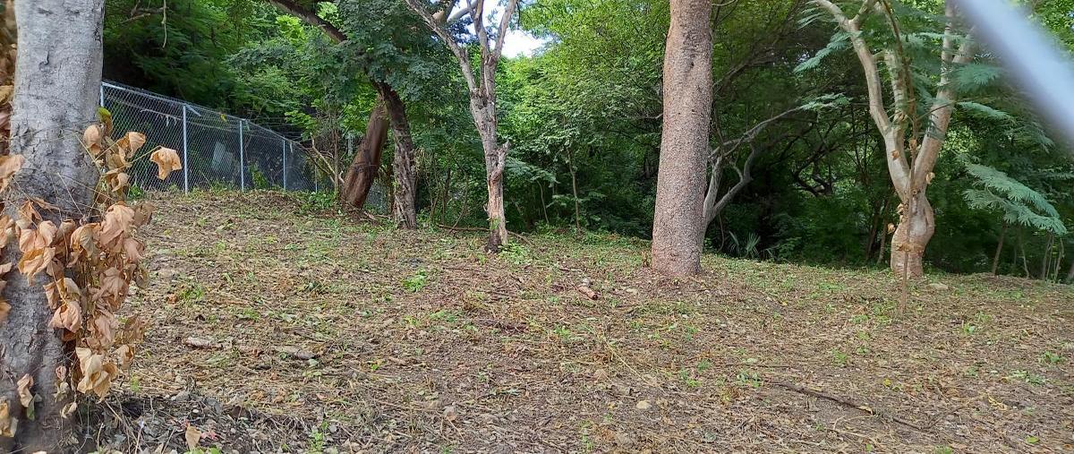 Foto de terreno comercial en 12 poniente entre 21 y 22 sur , matumatza, tuxtla gutiérrez, chiapas, 31739442 foto 03 Foto de terreno comercial en renta en 12 poniente entre 21 y 22 sur , matumatza, tuxtla gutiérrez, chiapas, 31739442 No. 03