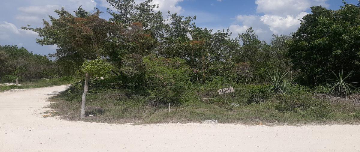 Foto de terreno habitacional en venta en 12 , santa cruz xixim, celestún, yucatán, 0 No. 03