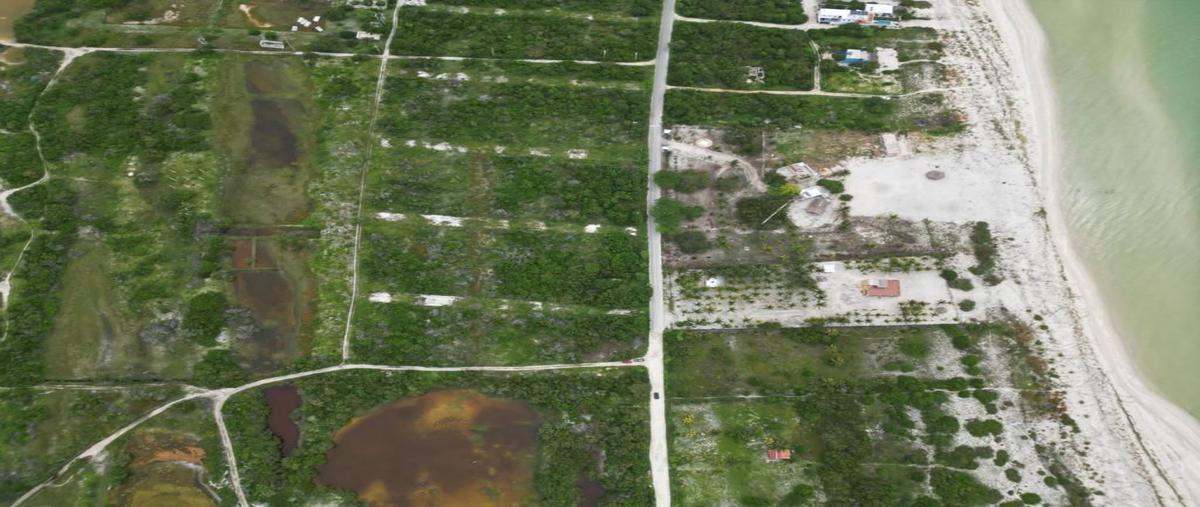 Foto de terreno habitacional en venta en 12 , santa cruz xixim, celestún, yucatán, 0 No. 04