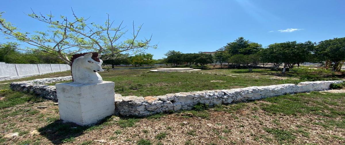 Foto de rancho en venta en 12 , xtepen, umán, yucatán, 7541615 No. 04