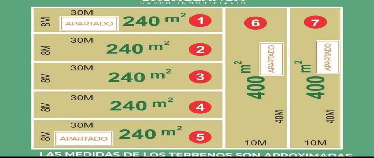 Foto de terreno habitacional en venta en 124 , dzitya, mérida, yucatán, 28135069 No. 04