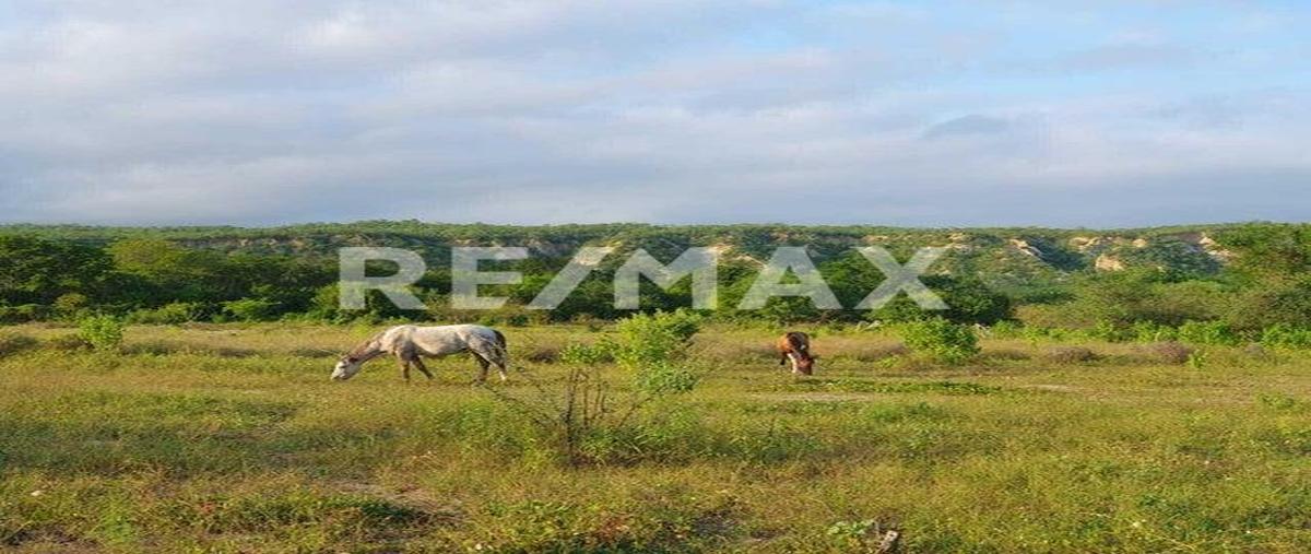 Foto de terreno habitacional en venta en 13 acre orchard, agua caliente, east cape , san josé del cabo (los cabos), los cabos, baja california sur, 0 No. 03