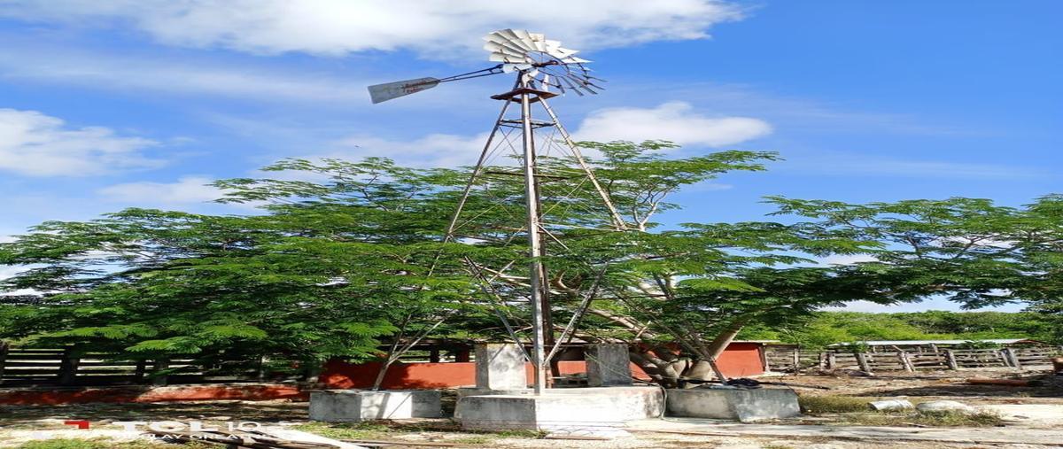 Foto de rancho en venta en 13 , sucila, sucilá, yucatán, 23770501 No. 03