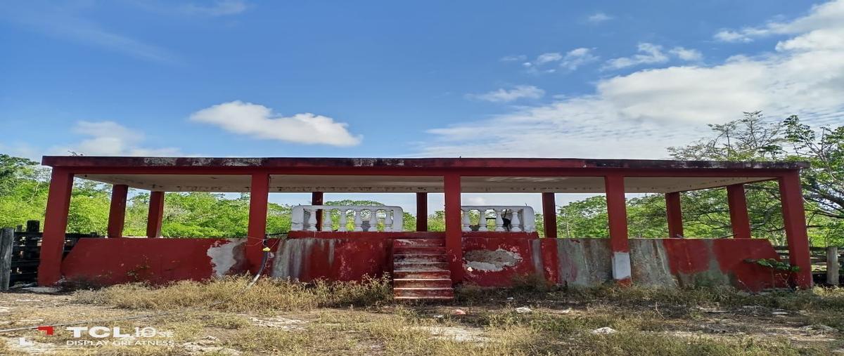 Foto de rancho en venta en 13 , sucila, sucilá, yucatán, 23770501 No. 05