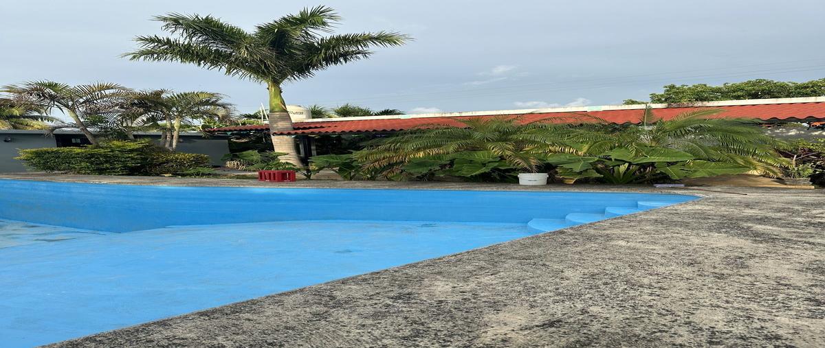 Foto de terreno habitacional en venta en 134a , el porvenir, mérida, yucatán, 30209067 No. 04