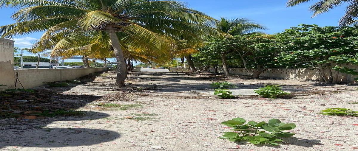 Foto de terreno habitacional en renta en 13a , chelem, progreso, yucatán, 30987812 No. 05